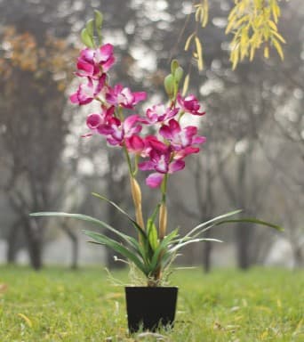 Modern Artificial Pink Orchid Arrangements